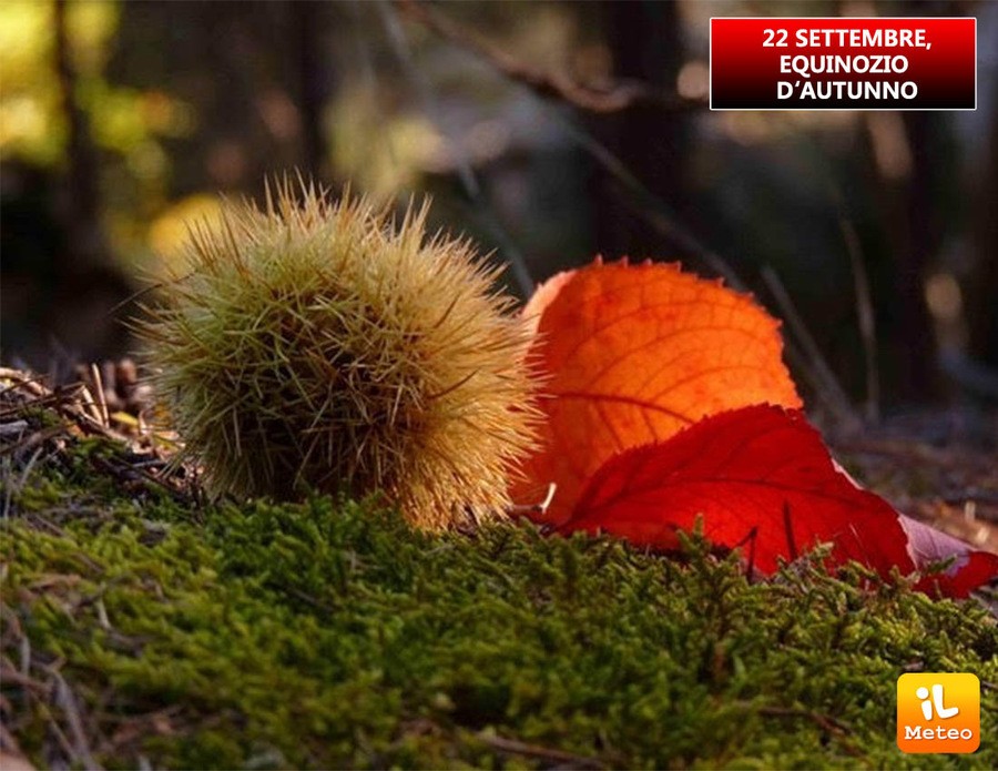 Equinozio di autunno, ecco quando arriva quest'anno Equinozio di autunno, ecco quando arriva quest'anno